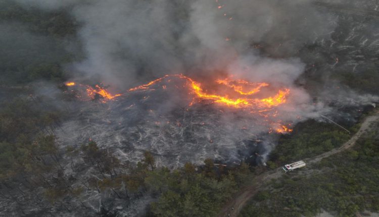 وزارة الطوارئ السورية: نشكر الأردن على دعمه.. وتدخل طواقمه المتخصصة سيكون له أثر إيجابي كبير.