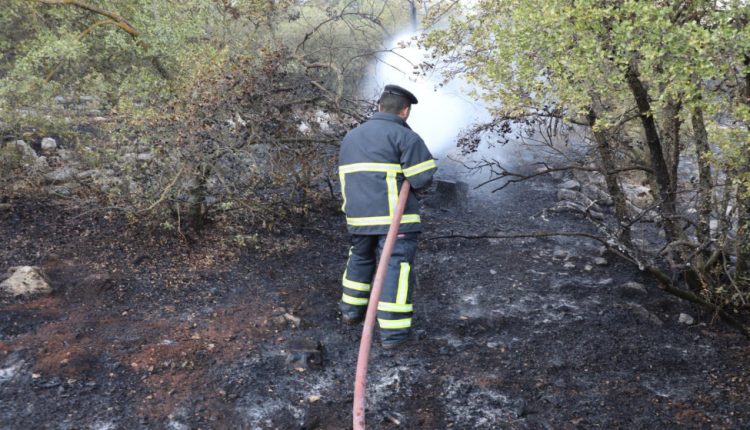 الحريق ألحق أضراراً واسعة، حيث التهم ما يقدّر بـ 200 إلى 250 دونماً من الأحراش الطبيعية.