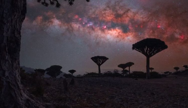 بعدسة المصور @Benjaminbarakat